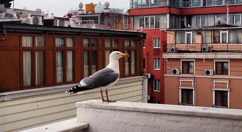 Flower Palace Hotel Istanbul Bagian luar foto